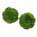 Floristik24 Allium pallo 5cm vihreä 4kpl