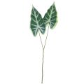 Floristik24 Alocasia Elephant Ear Arrow Leaf Keinotekoiset kasvit Vihreä 55cm