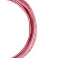 Floristik24 Alumiinilanka 2mm Vaaleanpunainen 3m