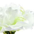 Floristik24 Amaryllis kukka valkoinen L 73cm 2kpl