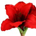 Floristik24 Amaryllis punainen L 68cm 1kpl