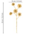 Keinotekoinen meripihkanvärinen hedelmänoksa, kultakoristeet, 26 cm, 6 kpl:n pakkaus | Floristik24.fi