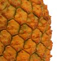 Floristik24 Ananas keinotekoinen 21cm oranssi