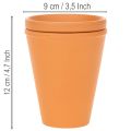 Aquasafe-vesisäiliö hyönteisjuoma-aukolla puutarhaan, parvekkeelle, terassille, 12 cm, 3 kpl | Floristik24.fi