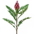 Floristik24 Keinotekoinen Artisokka vaaleanpunainen keinotekoisia kasveja Deco syksy H68cm