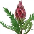 Floristik24 Keinotekoinen Artisokka vaaleanpunainen keinotekoisia kasveja Deco syksy H68cm