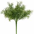 Floristik24 Parsa pensas koristeellinen parsa pick 9 oksat keinotekoinen kasvi