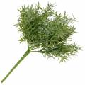 Floristik24 Parsa pensas koristeellinen parsa pick 9 oksat keinotekoinen kasvi