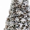 Floristik24 Koristeellinen joulukuusi tähtianis valkoinen pesty kimallus 30cm