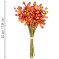 Oranssinvärisiä marjoja, 20 cm pitkä nippu | Floristik24.fi