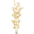 Floristik24 Keinotekoinen marjaoksakoriste, kulta, 70 cm, 3 kpl