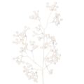 Floristik24 Keinotekoinen valkoinen marjanoksa, koriste-/askartelutarvikkeet, 52cm