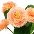 Floristik24 Daisy keinotekoinen persikka värillinen 24cm 2kpl
