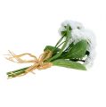 Floristik24 Bellis kukkakimppu valkoinen 24cm 3kpl