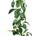 Floristik24 Lehtipuu vihreä 160cm
