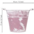 Peltiämpäri, violetti ja valkoinen, Ø19cm, korkeus 17cm, 1 kpl. | Floristik24.fi