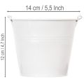 Valkoisia peltiämpäreitä Ø14cm K12cm 6 kpl | Floristik24.fi