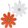 Floristik24 Kukkariipus, koristekukat oranssi ja valkoinen, puinen koristelu, kesä, koristekukat 8 kpl