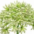 Floristik24 Allium keinotekoinen valkoinen 55cm