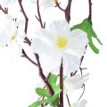 Floristik24 Kukkaseppele tekokukkaseppele valkoiset kukat 160cm