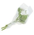 Floristik24 Hortensia valkoinen luminen 33cm 4kpl