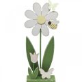 Floristik24 Kukka laittaa, kevätkoriste perhosilla H36,5cm