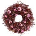 Floristik24 Kukkaseppele, kuivakukkaseppele, viininpunainen, pinkki, Ø25cm