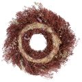 Kukkaseppele, kuivakukkaseppele, viininpunainen, pinkki, Ø25cm | Floristik24.fi