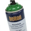 Floristik24 Belton vapaa vesiohenteinen maali korkeakiiltoinen värispray 400ml