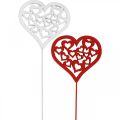 Floristik24 Kukkatulppa sydän punainen, valkoinen koristetulppa Ystävänpäivä 7cm 12kpl