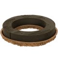 Floristik24 Kukkakoristerengas OASIS® Renewal® Floral Foam Biolit® 24 cm 2 kpl