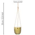 Lasinen kukkaruukku/riippuvalaisin, violetti/vihreä, 14 cm, 2 kpl | Floristik24.fi