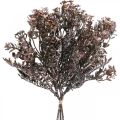 Keinotekoiset kasvit ruskea syyskoristelu talvikoristelu Drylook 38cm 3kpl
