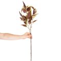 Keinotekoinen koleus punaisilla lehdillä, tekokasvi, 20cm | Floristik24.fi