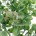Floristik24 Hääsisustus eukalyptuksen oksia kukilla koristeellinen kimppu vihreä, pinkki 26cm