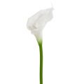 Floristik24 Keinotekoinen Calla valkoinen 67cm
