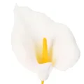Keinotekoinen kalla keltaisilla heteillä, koristeellisilla kukilla, 35 cm, 10 kpl | Floristik24.fi