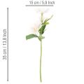 Keinotekoinen jouluruusujen kimppu, joulukimppu, 35 cm, 6 kpl | Floristik24.fi