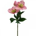 Floristik24 Jouluruusu, paastonruusu, hellebore, tekokasvit pinkki L34cm 4kpl