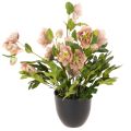 Floristik24 Keinotekoinen ruukkukasvi Helleborus, jouluruusu, kodin sisustukseen, 50cm