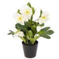 Floristik24 Keinotekoinen jouluruusu, ruukkukukka, pöytäkoriste, 34 cm
