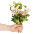 Jouluinen ruusu-tekokukkakoriste, 30 cm nippu, 4 kpl | Floristik24.fi