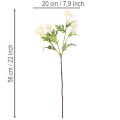 Tekoinen krysanteemikukka, kermanvalkoinen kimppu, koristeellinen oksa, iso 56 cm, 4 kpl | Floristik24.fi
