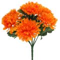 Floristik24 Krysanteemi-oranssi, 7 kukkaa