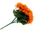 Floristik24 Krysanteemi-oranssi, 7 kukkaa