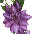 Floristik24 Keinotekoinen klematis, silkkikukka, koristeoksa klematiksen kukilla violetti L84cm