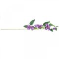 Floristik24 Keinotekoinen klematis, silkkikukka, koristeoksa klematiksen kukilla violetti L84cm
