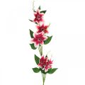 Floristik24 Clematis-oksa 5 kukkaa, tekokukka, koristeoksa vaaleanpunainen, valkoinen L84cm