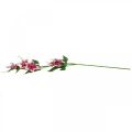 Floristik24 Clematis-oksa 5 kukkaa, tekokukka, koristeoksa vaaleanpunainen, valkoinen L84cm