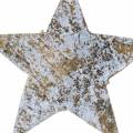 Floristik24 Kookospähkinä tähti valkoinen harmaa 5cm 50kpl adventtitähdet hajallaan koriste